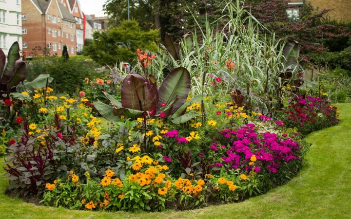 Entretien de jardin Saint-Gènes-de-Blaye